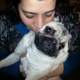 Eunitecidos - Loja Online - Tecidos e Retrosaria