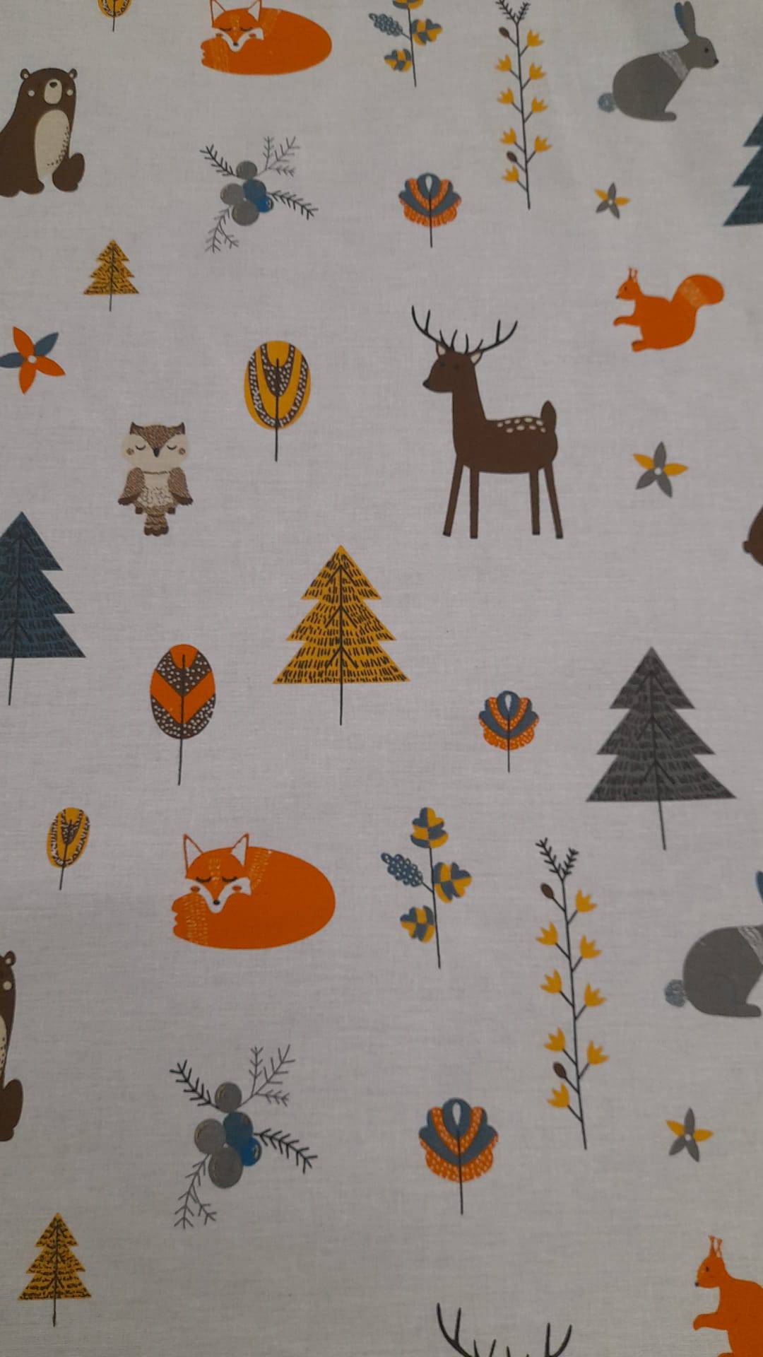 Cambraia | Estampado Infantil | Bosque